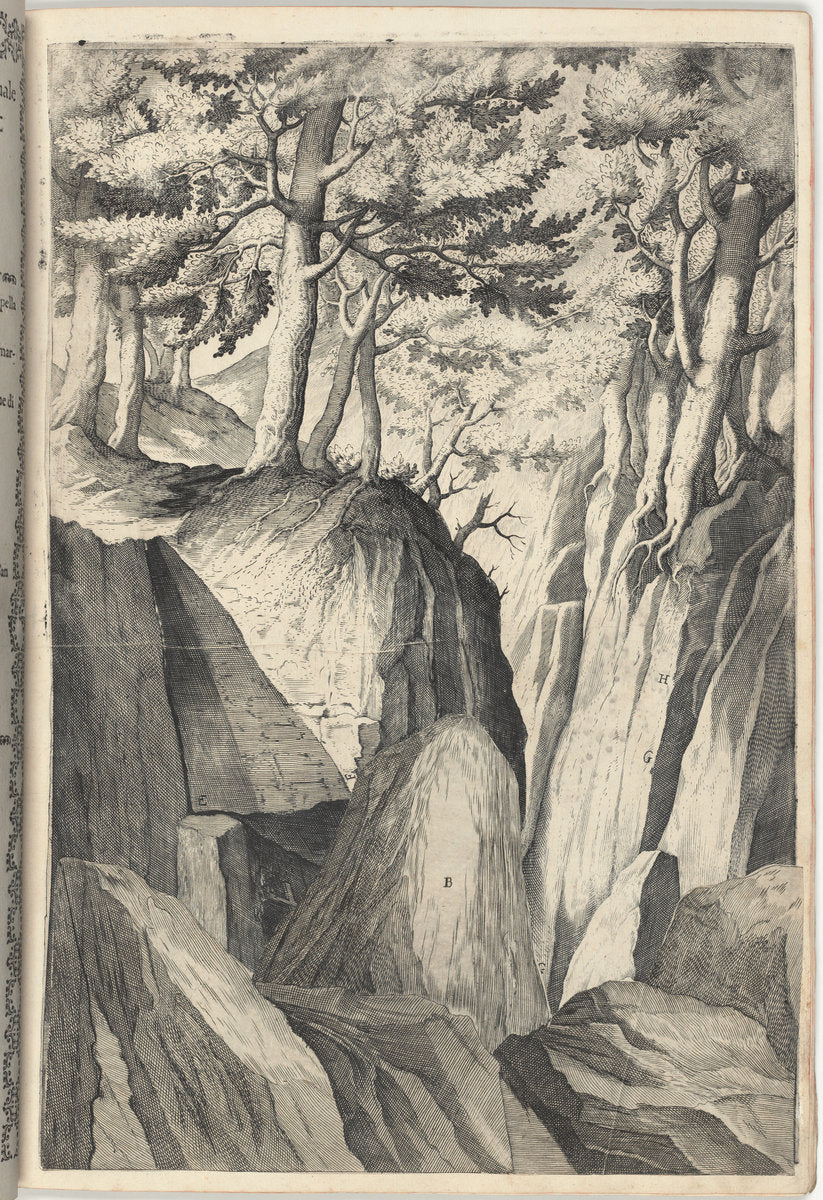The Prominent Rock (Sasso spicco) [plate I] by Jacopo Ligozzi (artist), Anonymous engraver possibly Domenico Falcini, Lino Moroni (author) (Italian, 1547 - 1627), 16X12"(A3)Poster Print