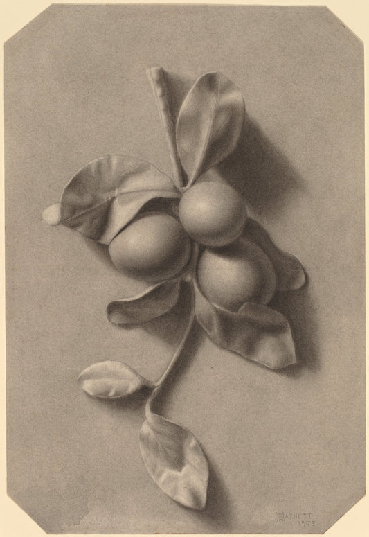 A Sprig of Plums by William Michael Harnett (American, 1848 - 1892), 16X12"(A3)Poster Print