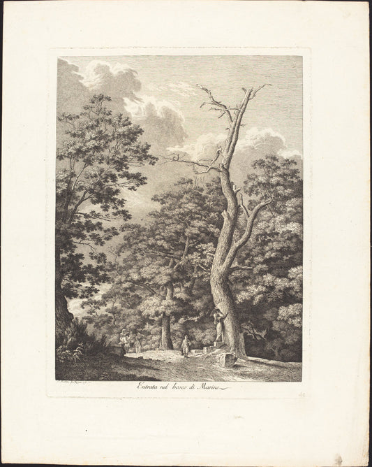 Entrata nel bosco di Marino by Jacob Wilhelm Mechau (German, 1745 - 1808), 16X12"(A3)Poster Print