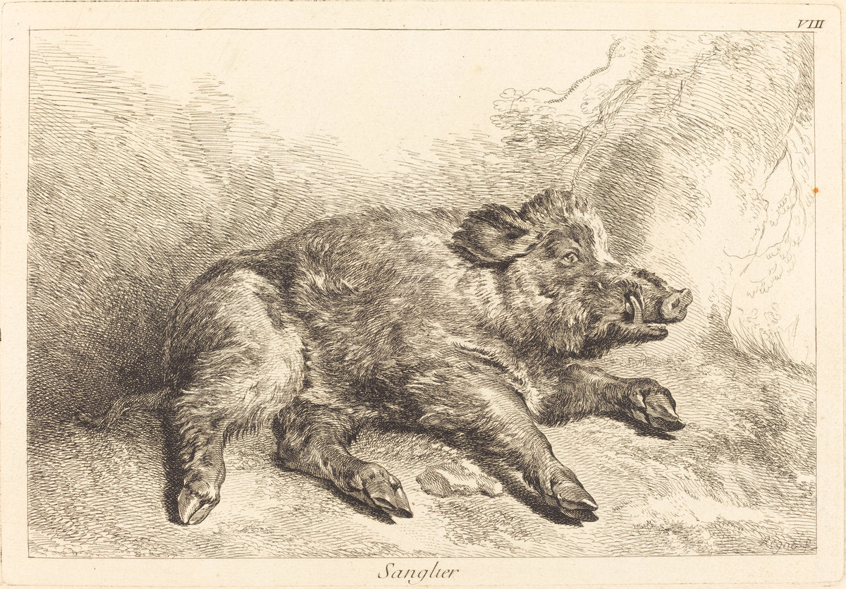Sanglier (Wild Boar Lying Down, Head to the Right) by Jacques-Philippe Le Bas and Jean Eric Rehn after Jean-Baptiste Oudry (French, 1707 - 1783), 16X12"(A3)Poster Print