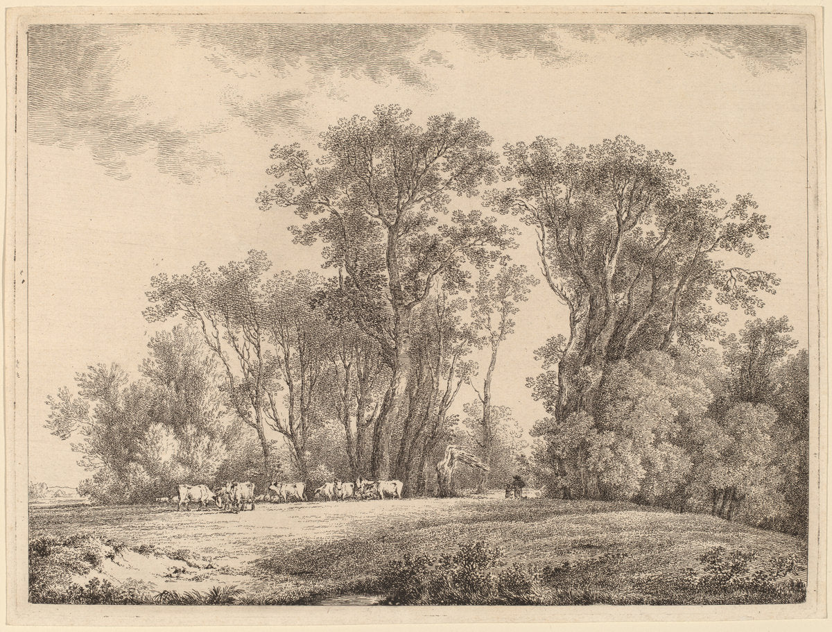 A Meadow with Cattle at the Edge of a Wood by Martin von Molitor (Austrian, 1759 - 1812), 16X12"(A3)Poster Print
