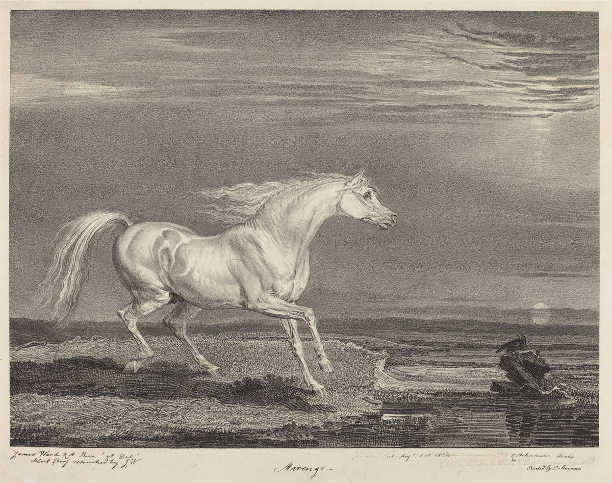 Marengo by James Ward (British, 1769 - 1859), 16X12"(A3)Poster Print