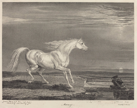 Marengo by James Ward (British, 1769 - 1859), 16X12"(A3)Poster Print
