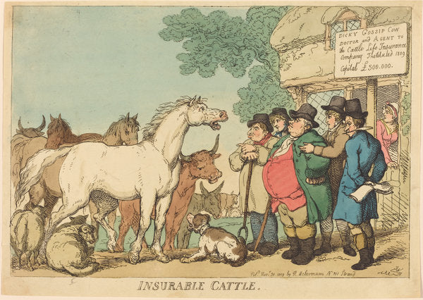 Insurable Cattle by Thomas Rowlandson (British, 1756 - 1827), 16X12"(A3)Poster Print