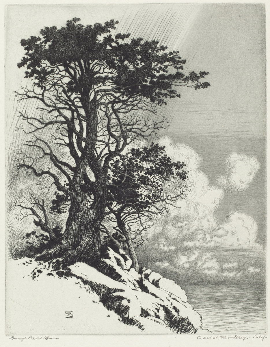 Coast at Monterey, California by George Elbert Burr (American, 1859 - 1939), 16X12"(A3)Poster Print
