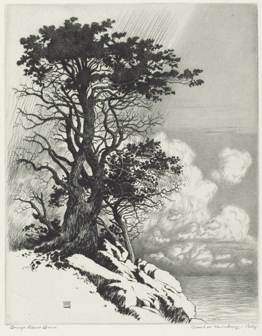 Coast at Monterey, California by George Elbert Burr (American, 1859 - 1939), 16X12"(A3)Poster Print