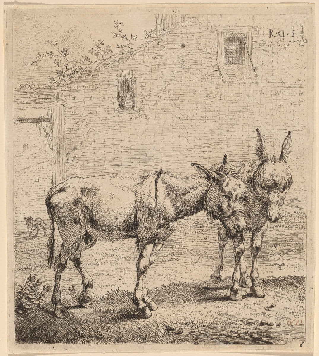 Two Asses by Karel Dujardin (Dutch, c. 1622 - 1678), 16X12"(A3)Poster Print