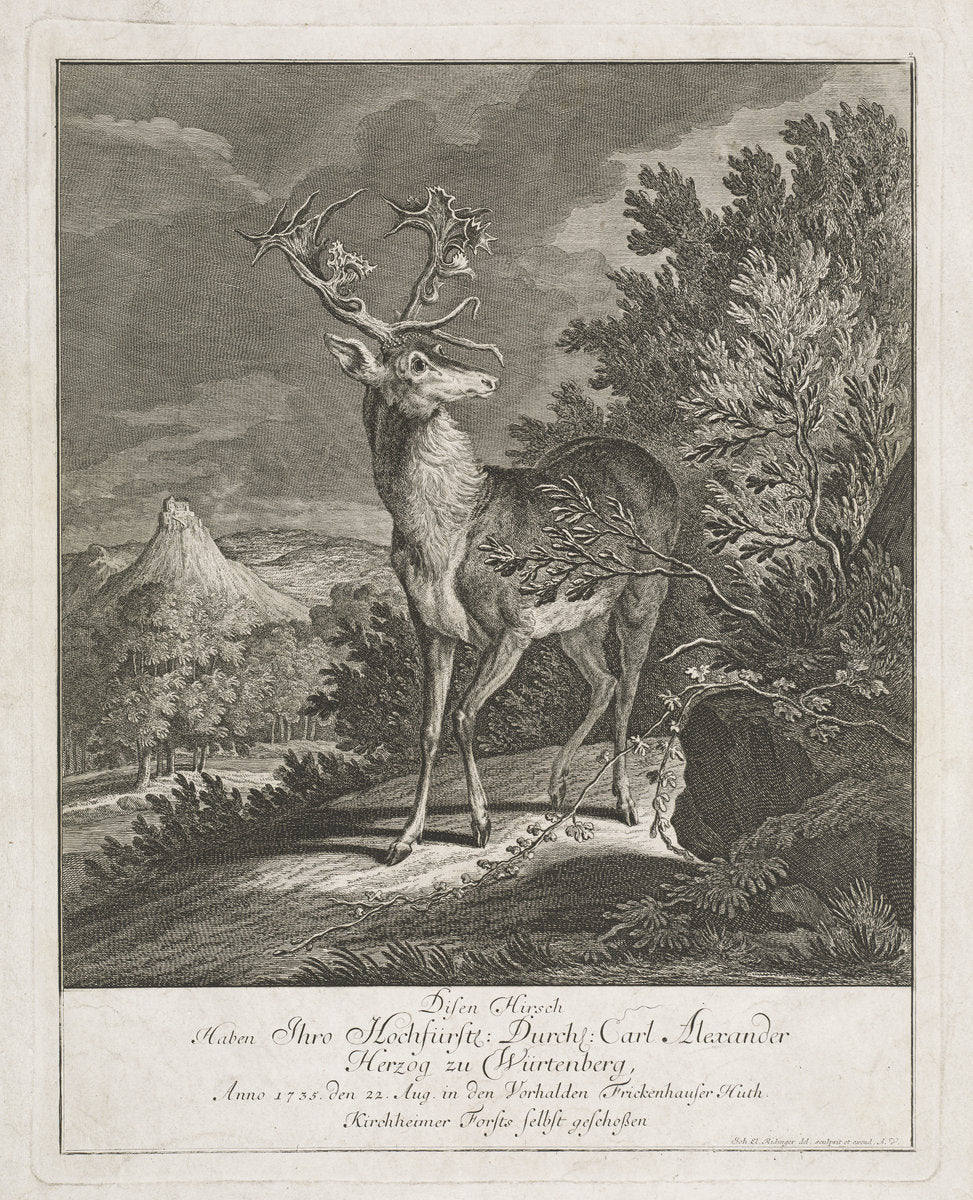 A Magnificent Stag in a Landscape by Johann Elias Ridinger (German, 1698 - 1767), 16X12"(A3)Poster Print