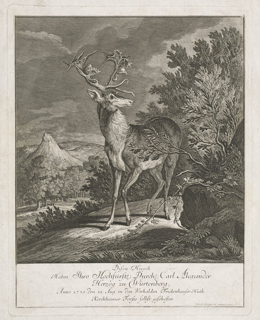 A Magnificent Stag in a Landscape by Johann Elias Ridinger (German, 1698 - 1767), 16X12"(A3)Poster Print