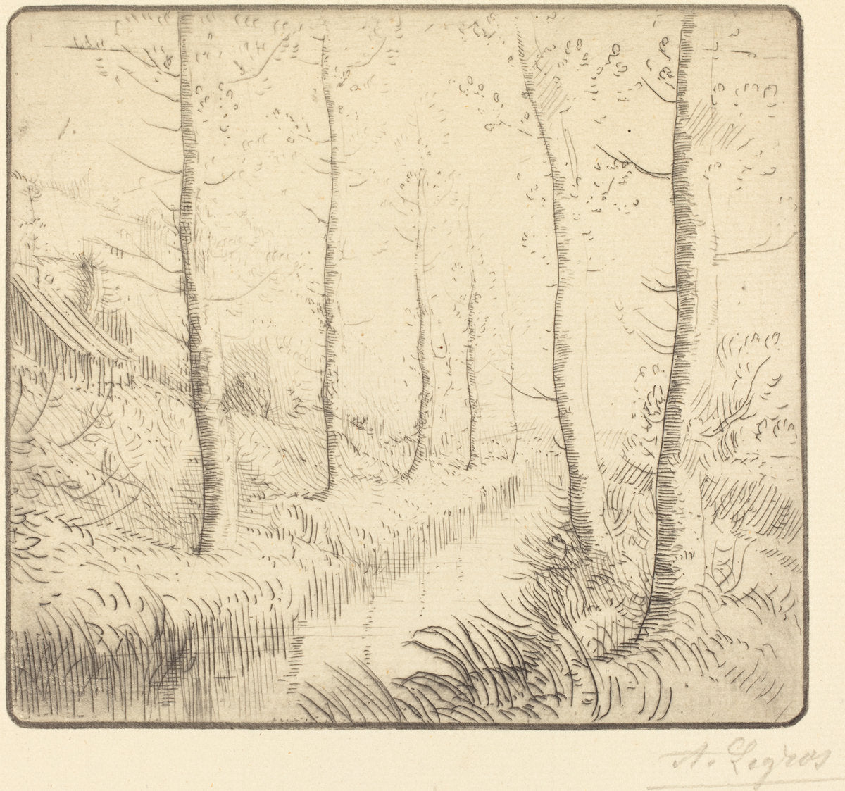 Birch Trees along the Water (Les bouleaux: Bord de l'eau) by Alphonse Legros (French, 1837 - 1911), 16X12"(A3)Poster Print