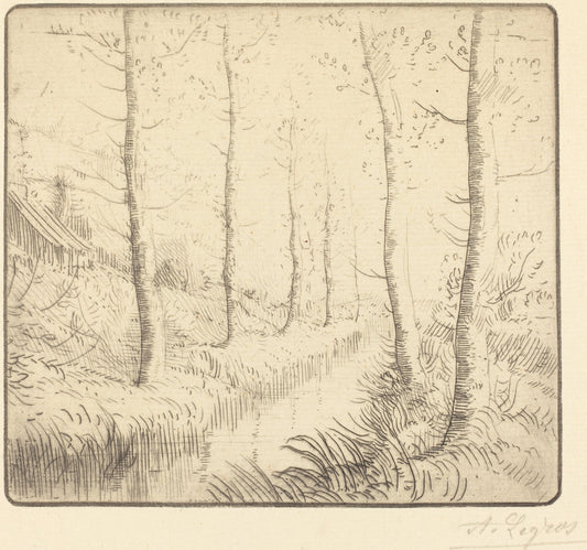 Birch Trees along the Water (Les bouleaux: Bord de l'eau) by Alphonse Legros (French, 1837 - 1911), 16X12"(A3)Poster Print