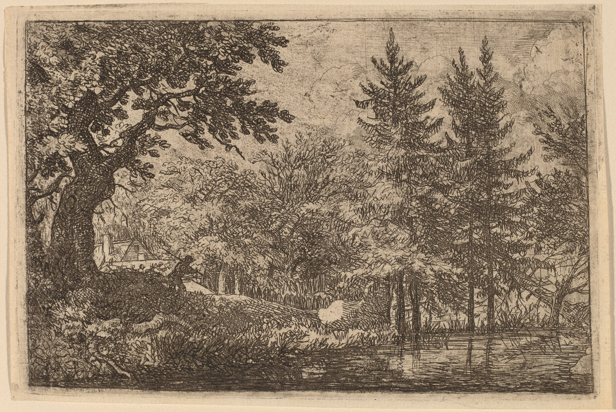 Fir Trees at the Water by Allart van Everdingen (Dutch, 1621 - 1675), 16X12"(A3)Poster Print