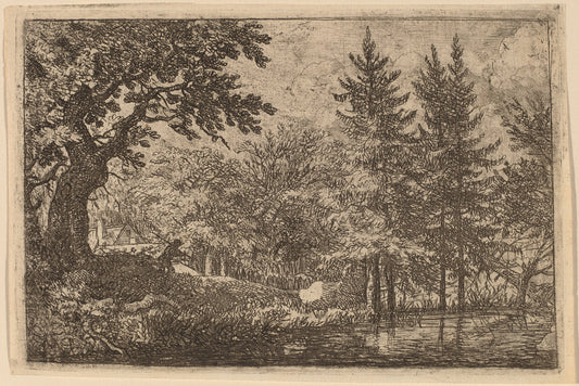Fir Trees at the Water by Allart van Everdingen (Dutch, 1621 - 1675), 16X12"(A3)Poster Print