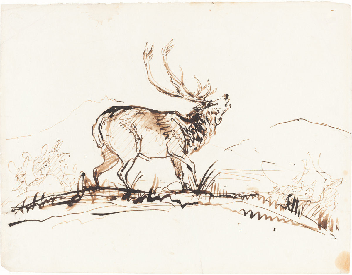 A Bellowing Stag by Sir Edwin Landseer (British, 1802 - 1873), 16X12"(A3)Poster Print