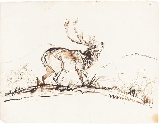 A Bellowing Stag by Sir Edwin Landseer (British, 1802 - 1873), 16X12"(A3)Poster Print