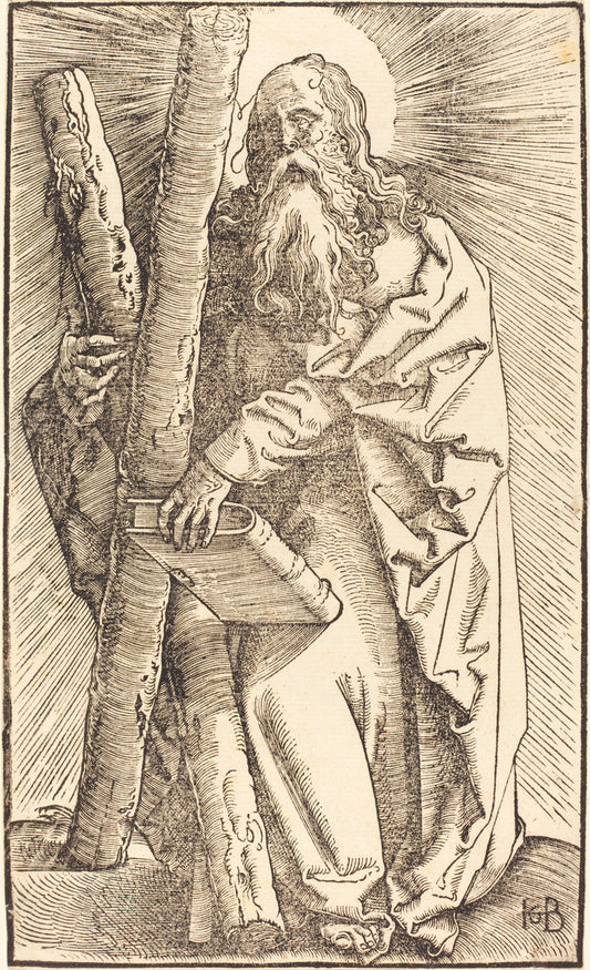 Saint Andrew by Hans Baldung Grien (German, 1484/1485 - 1545), 16X12"(A3)Poster Print