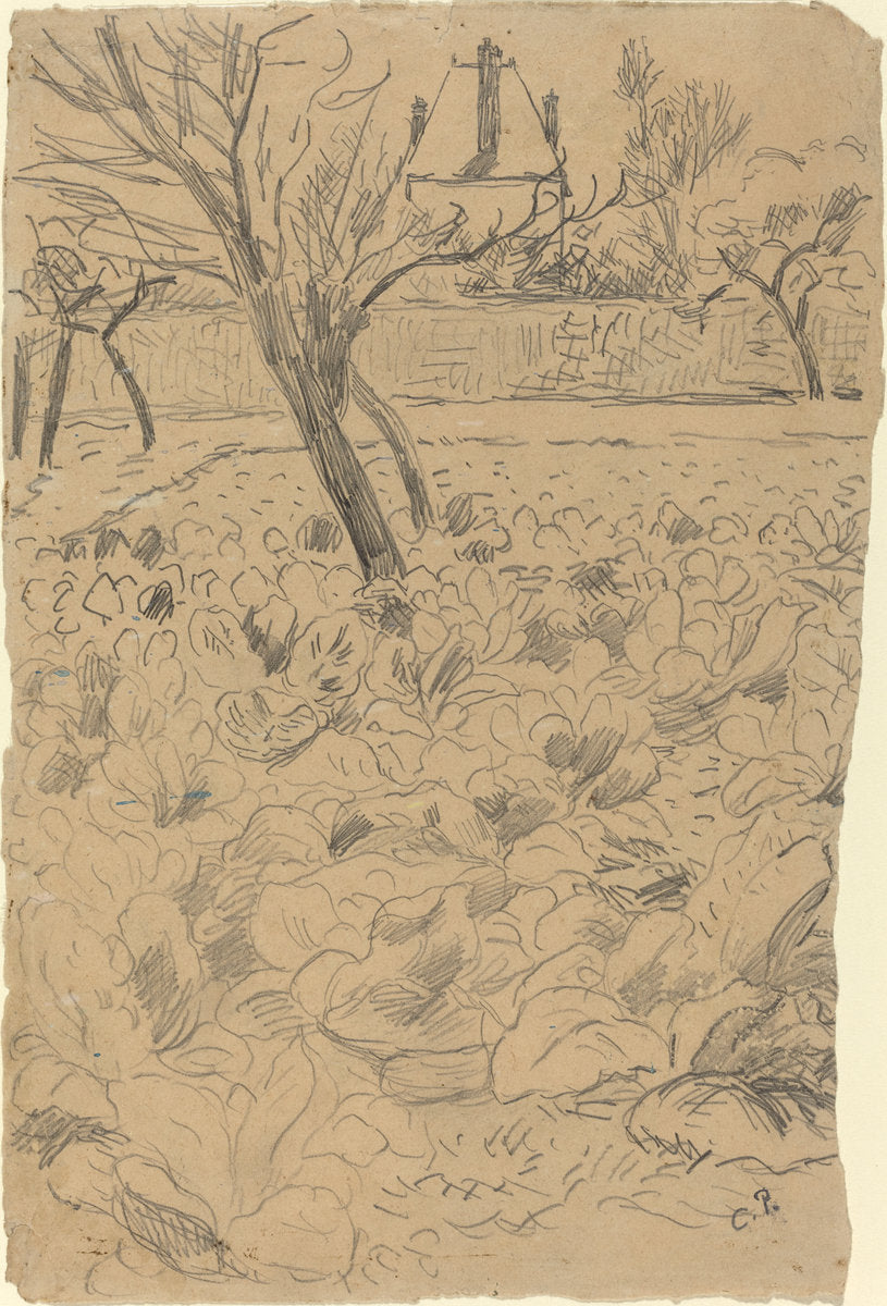 Le champ de choux by Camille Pissarro (French, 1830 - 1903), 16X12"(A3)Poster Print