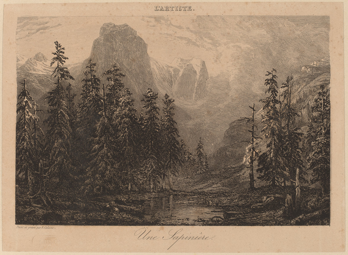 Une Sapinière by Alexandre Calame (Swiss, 1810 - 1864), 16X12"(A3)Poster Print