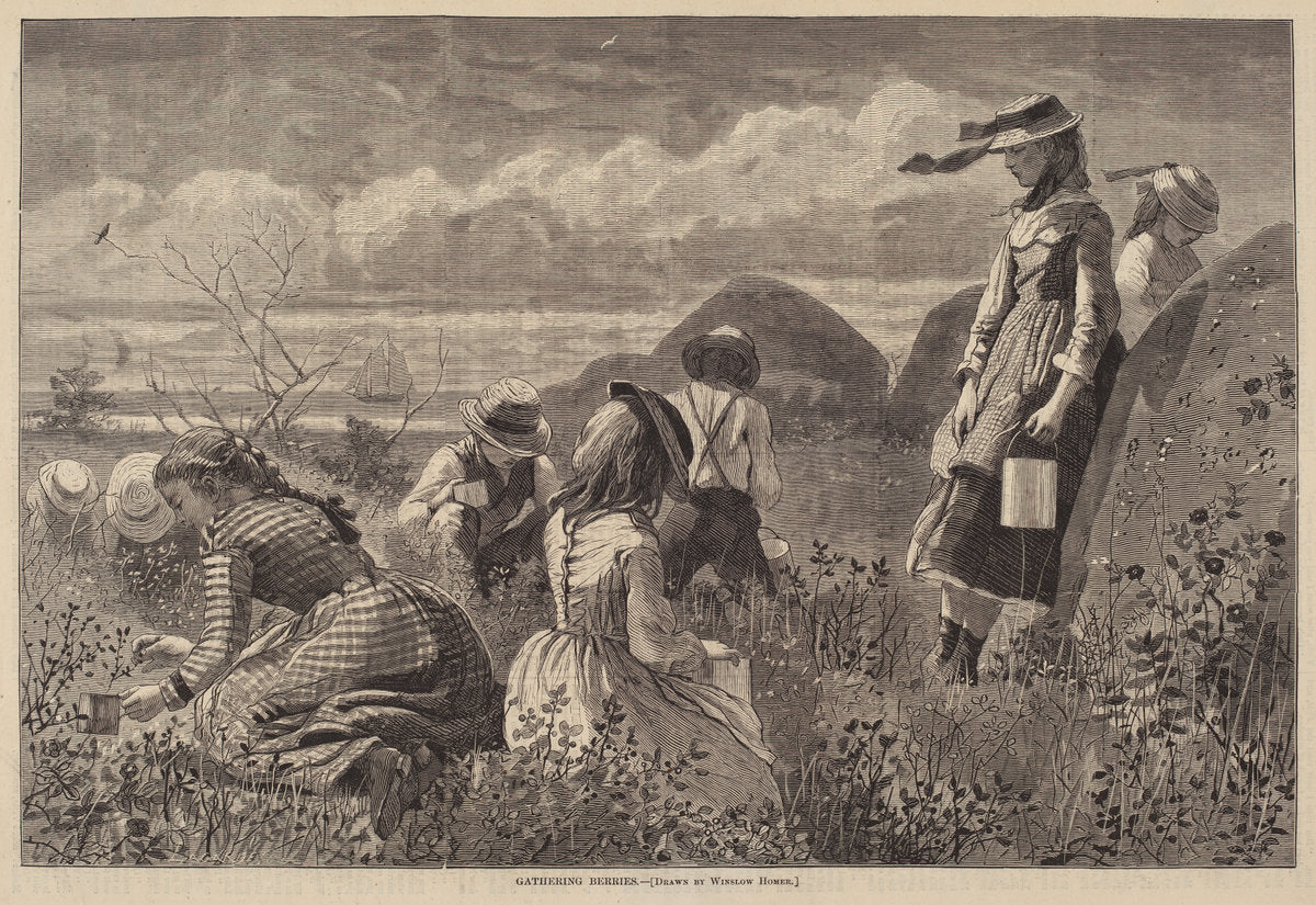 Gathering Berries by Lagarde after Winslow Homer (American (?), active c. 1873), 16X12"(A3)Poster Print
