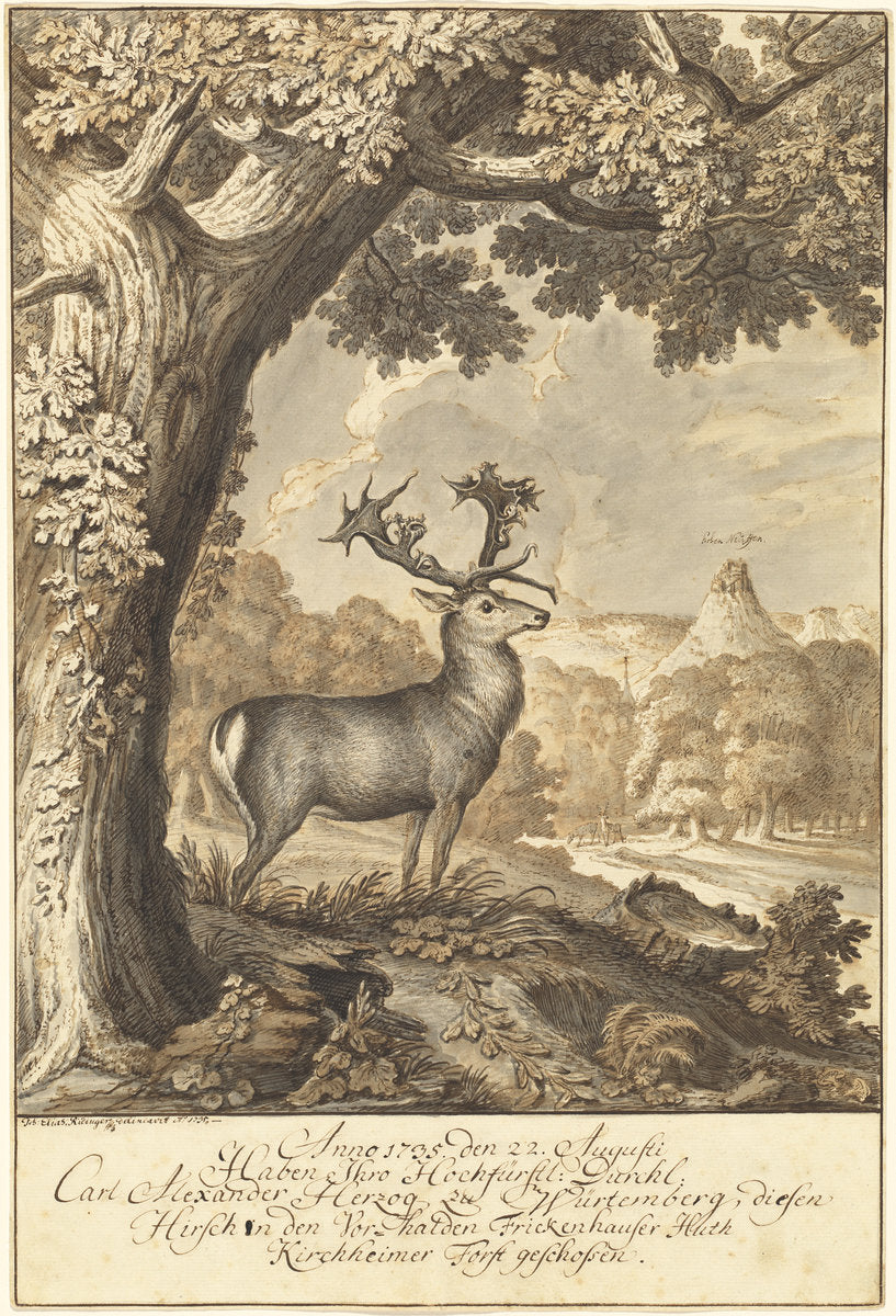 A Stag beneath a Mighty Oak by Johann Elias Ridinger (German, 1698 - 1767), 16X12"(A3)Poster Print