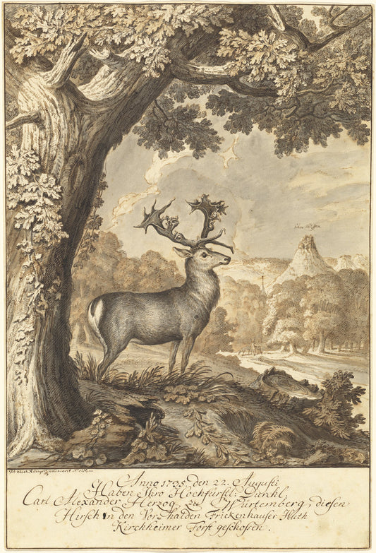 A Stag beneath a Mighty Oak by Johann Elias Ridinger (German, 1698 - 1767), 16X12"(A3)Poster Print