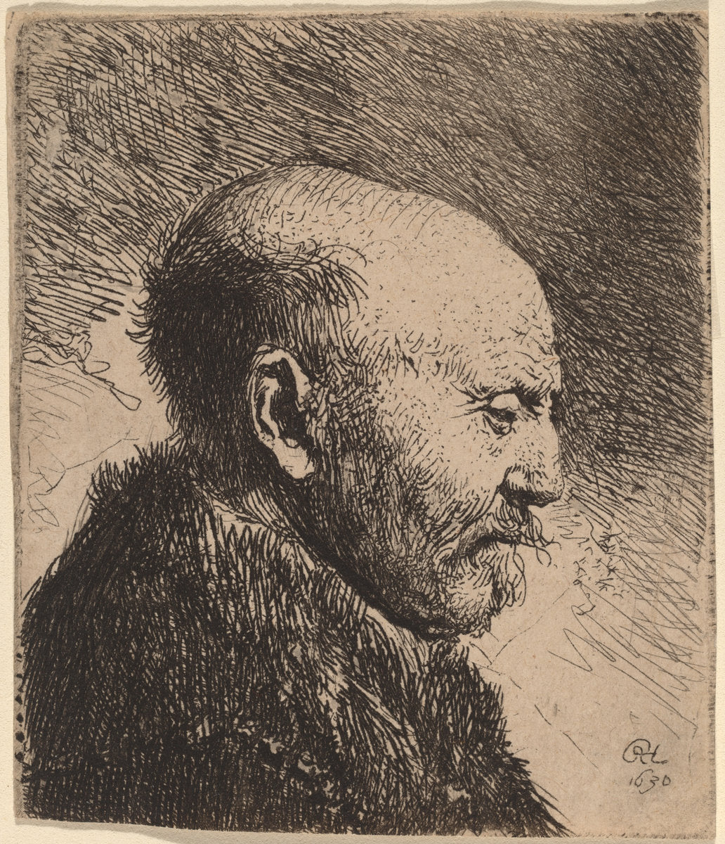 A Bald Man in Profile (The Artist's Father?) by Rembrandt van Rijn (Dutch, 1606 - 1669), 16X12"(A3)Poster Print