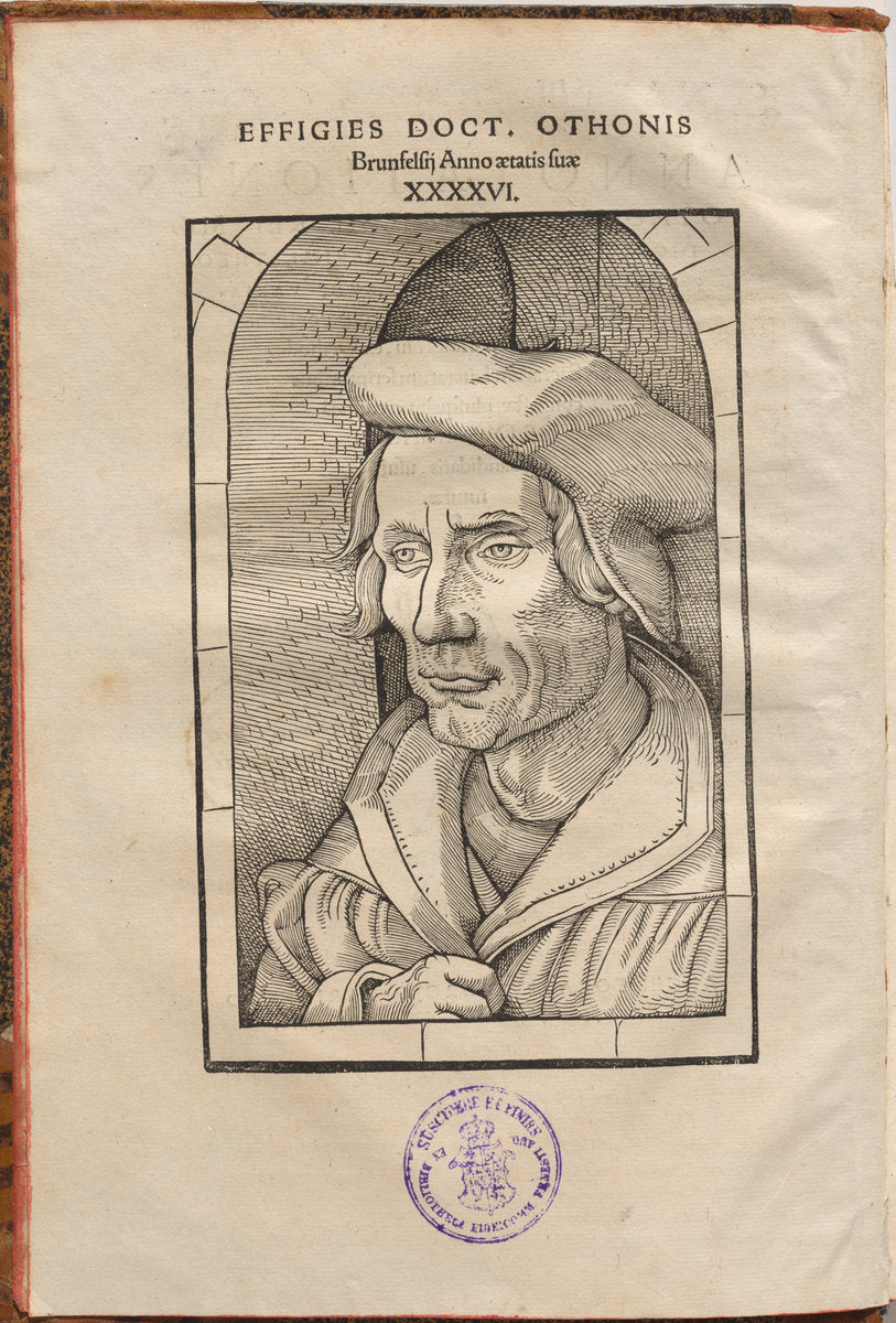 Annotationes Othonis Brunfelsii...in quatuor Euangelia & Acta Apostolorum... by Hans Baldung Grien, Otto Brunfels (author) (German, 1484/1485 - 1545), 16X12"(A3)Poster Print