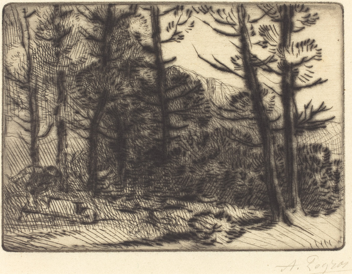 Woods in Winter Sun, 2nd plate (Soleil d'hiver dans les bois) by Alphonse Legros (French, 1837 - 1911), 16X12"(A3)Poster Print