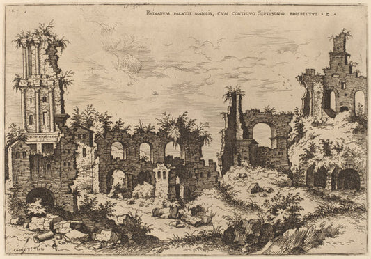 Ruins on the Palatine with the Septizonium by Hieronymus Cock (Flemish, c. 1510 - 1570), 16X12"(A3)Poster Print