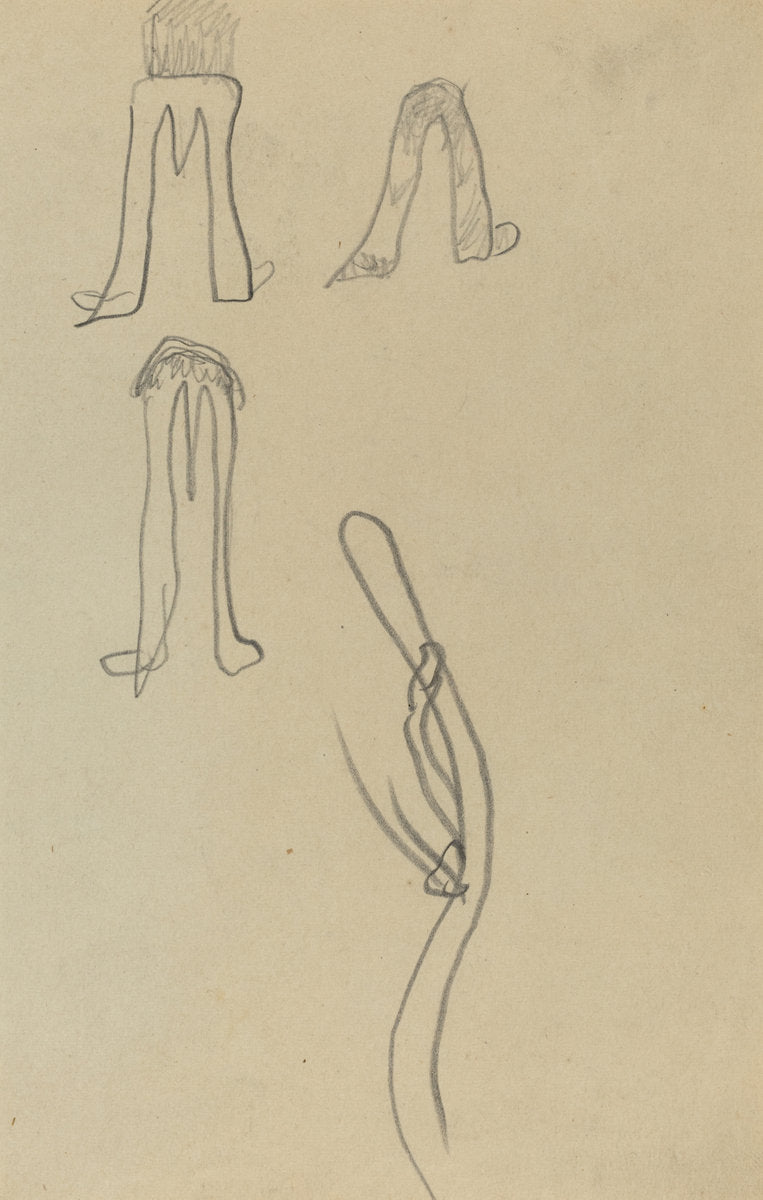 Four Fantastic Forms [recto] by Paul Gauguin (French, 1848 - 1903), 16X12"(A3)Poster Print