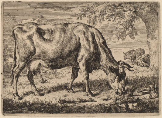 Grazing Cow with Two Sheep by Adriaen van de Velde (Dutch, 1636 - 1672), 16X12"(A3)Poster Print