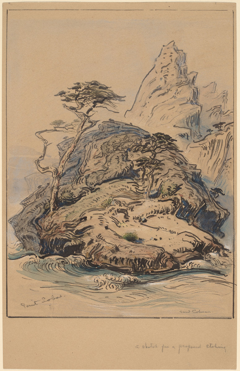 Point Lobos, California by Samuel Colman (American, 1832 - 1920), 16X12"(A3)Poster Print