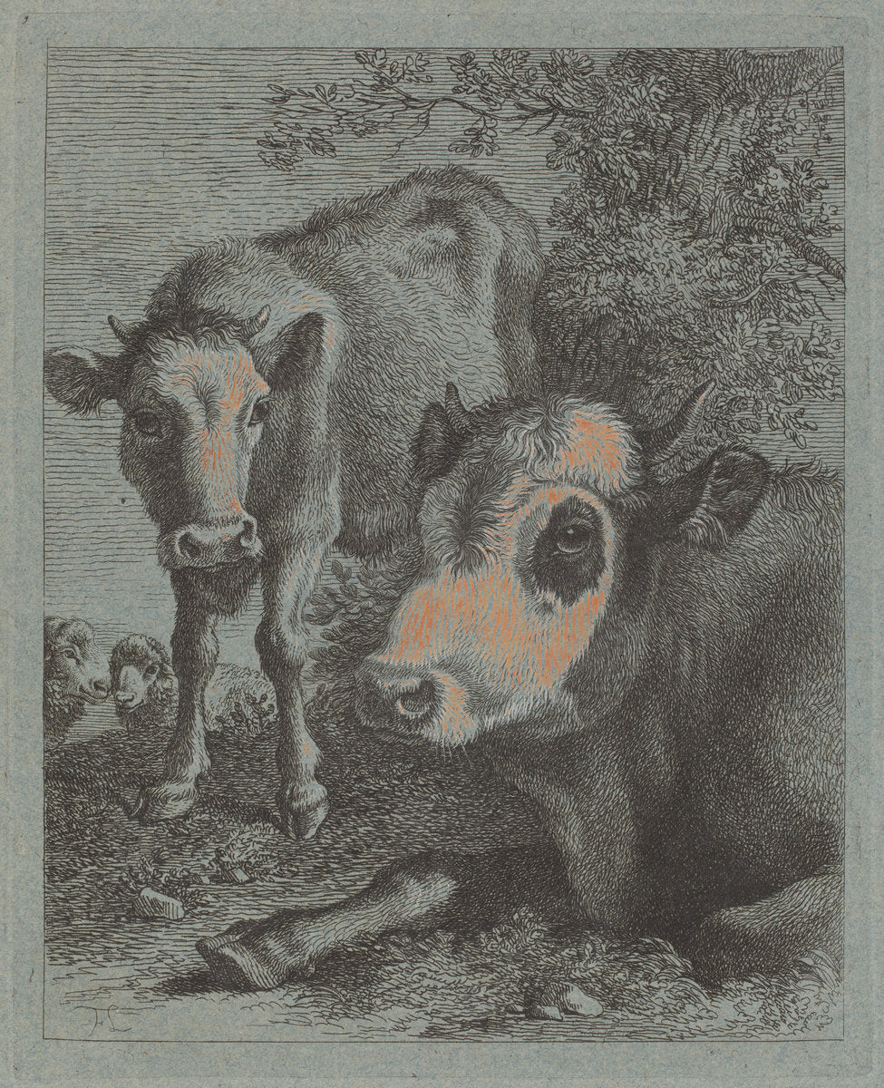 Reclining Cow and Calf in the Open by Francesco Londonio (Italian, 1723 - 1783), 16X12"(A3)Poster Print
