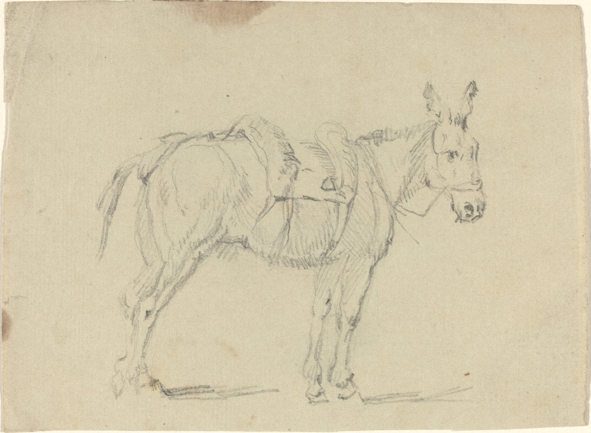 Donkey Stretching a Hind Leg by John Flaxman (British, 1755 - 1826), 16X12"(A3)Poster Print