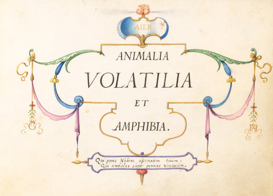 Animalia Volatilia et Amphibia (Aier):  Title Page by Joris Hoefnagel (Flemish, 1542 - 1600), 16X12"(A3)Poster Print
