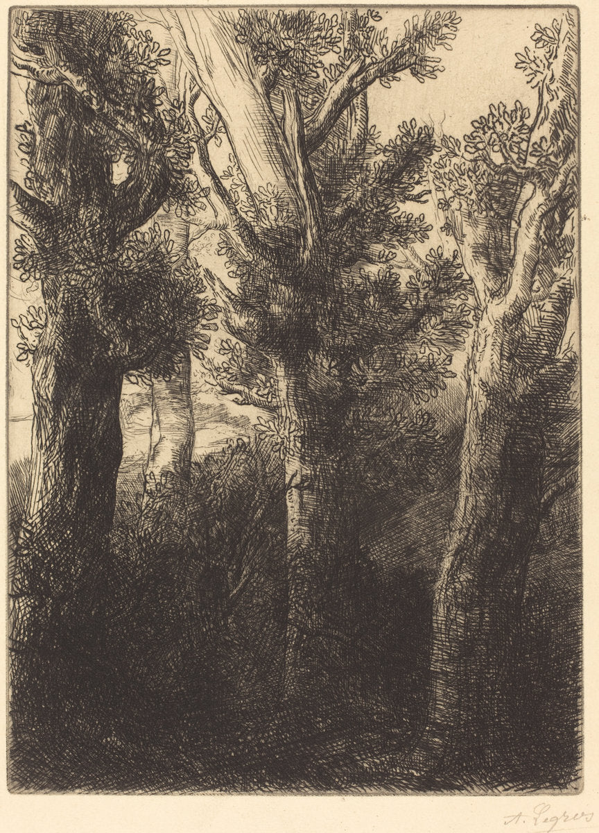German Forest, Downley by Alphonse Legros (French, 1837 - 1911), 16X12"(A3)Poster Print
