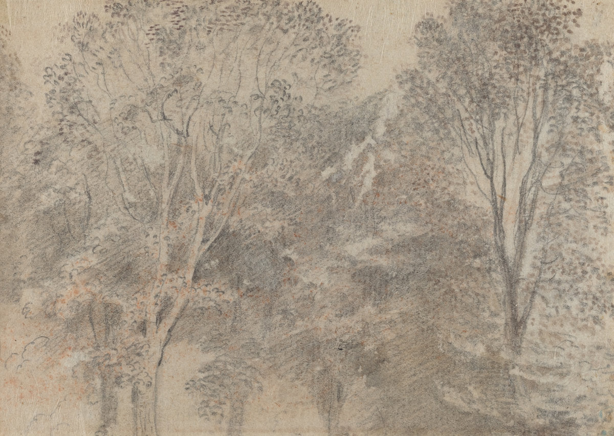 Treetops [verso] by Antoine Watteau (French, 1684 - 1721), 16X12"(A3)Poster Print