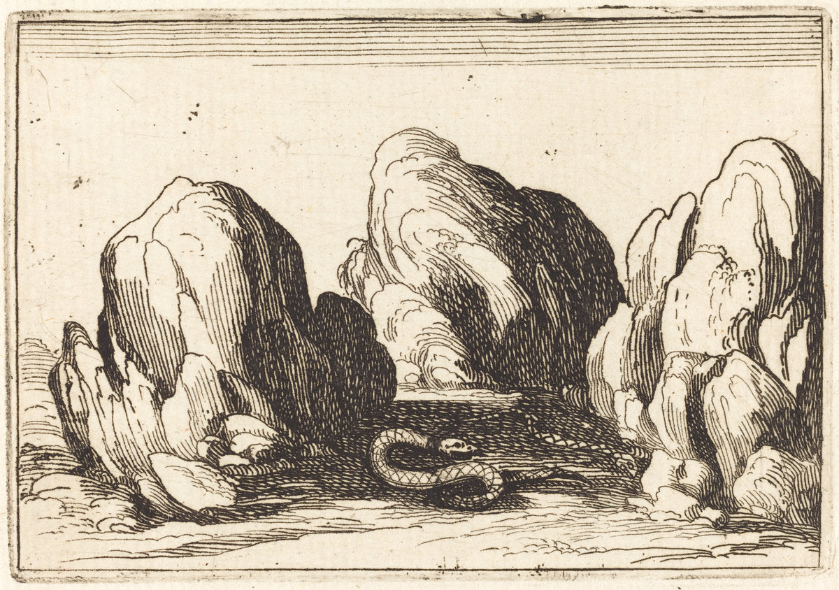 Serpent by Jacques Callot (French, 1592 - 1635), 16X12"(A3)Poster Print