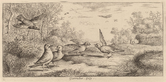 Garrulus, The Jay by Albert Flamen (Flemish, c. 1620 - 1669 or after), 16X12"(A3)Poster Print