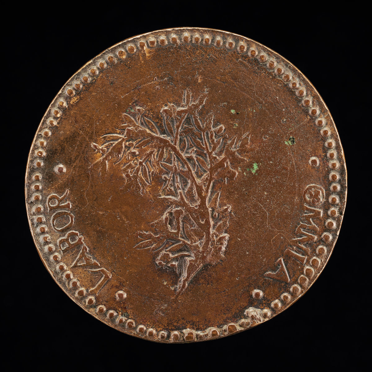 Olive Branch [reverse] by Gaspare Romanelli (Florentine, active 1560/1609), 16X12"(A3)Poster Print