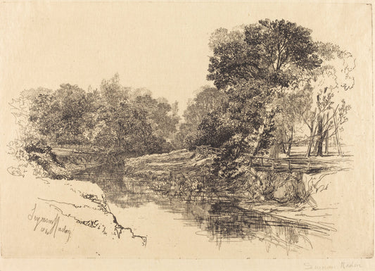 A River in Ireland by Francis Seymour Haden (British, 1818 - 1910), 16X12"(A3)Poster Print