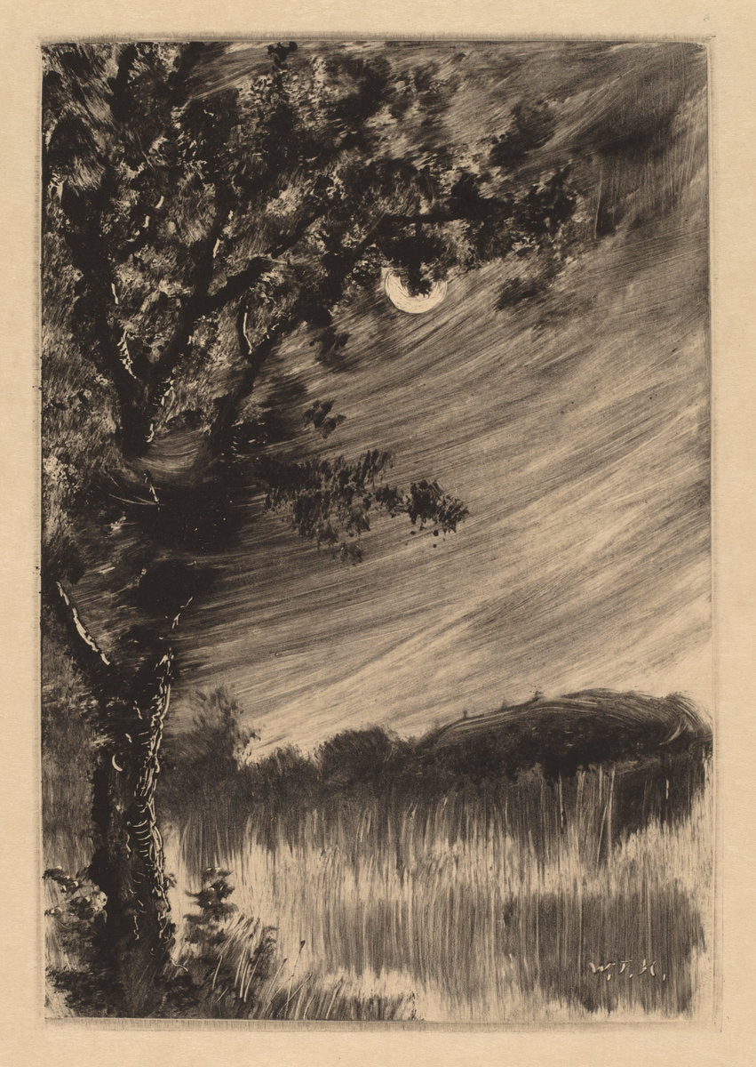 Moonlit Landscape with Tree at the Left by William Fowler Hopson (American, 1849 - 1937), 16X12"(A3)Poster Print