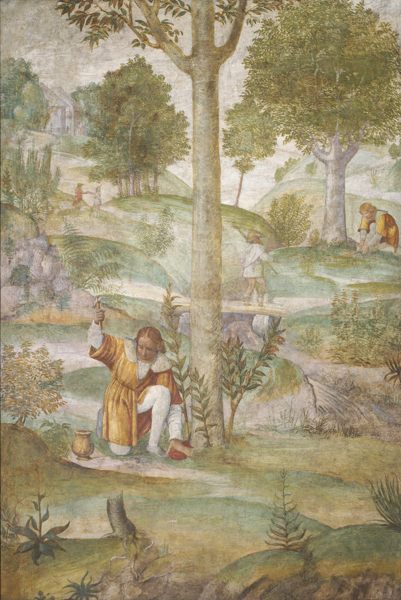 Cephalus Hiding the Jewels by Bernardino Luini (Italian, c. 1480 - 1532), 16X12"(A3)Poster Print