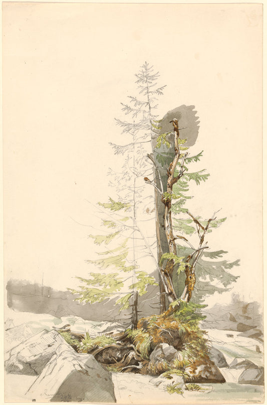 A Clump of Trees by a Rocky Stream in the Ramsau by Carl Morgenstern (German, 1811 - 1893), 16X12"(A3)Poster Print