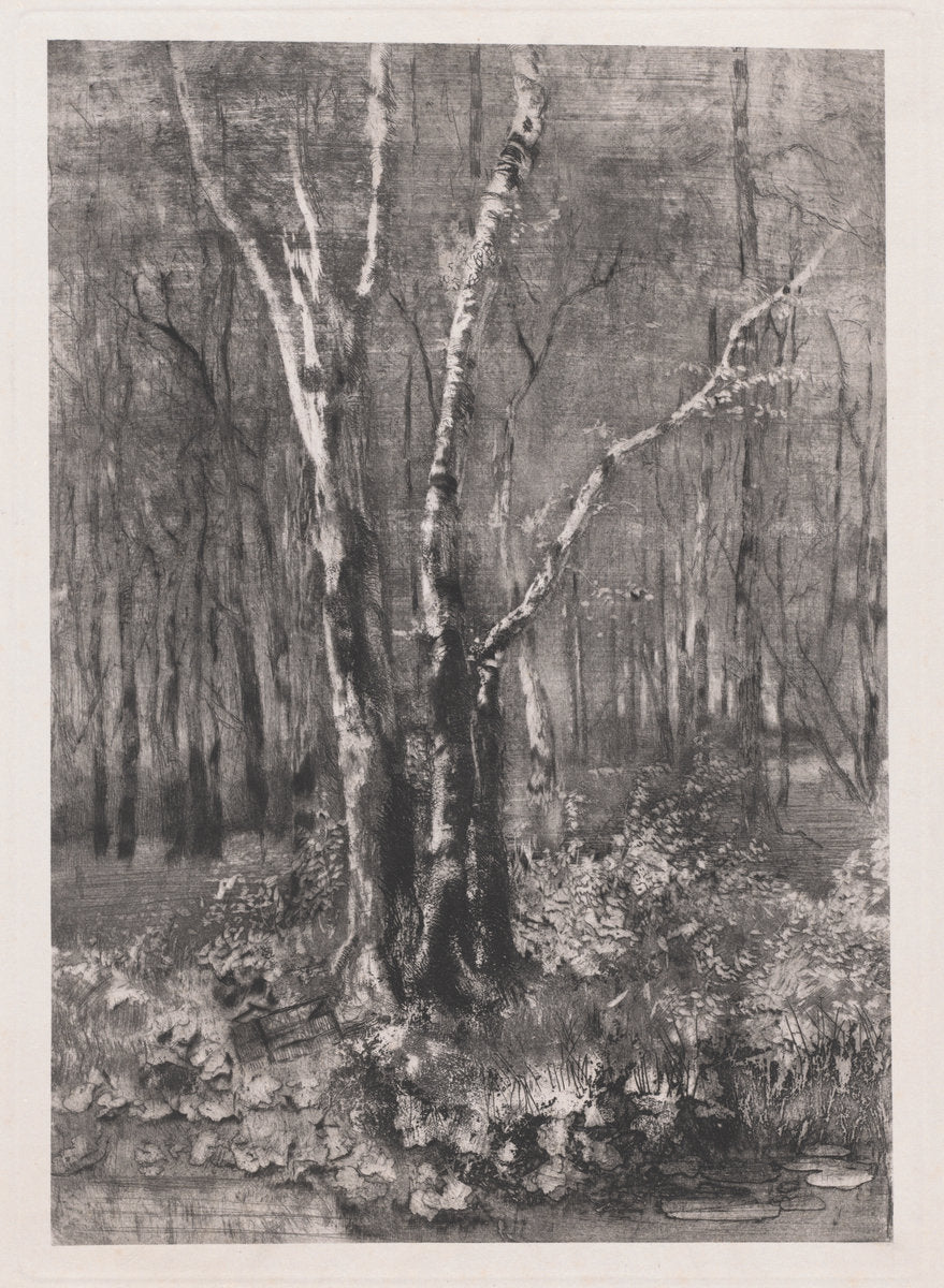 Woods in the Park near Monza by Mosè Bianchi (Italian, 1840 - 1904), 16X12"(A3)Poster Print