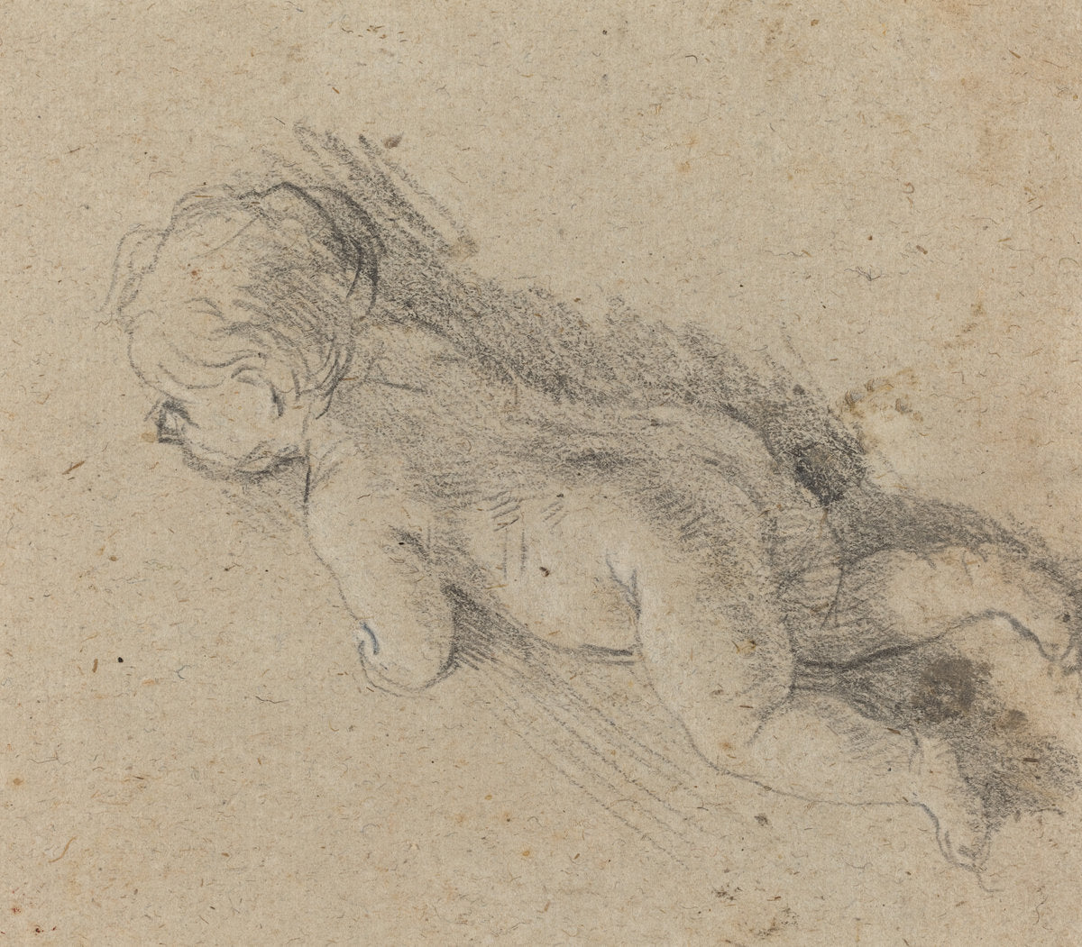 Baby [verso] by Baldassare Franceschini (Florentine, 1611 - 1689), 16X12"(A3)Poster Print