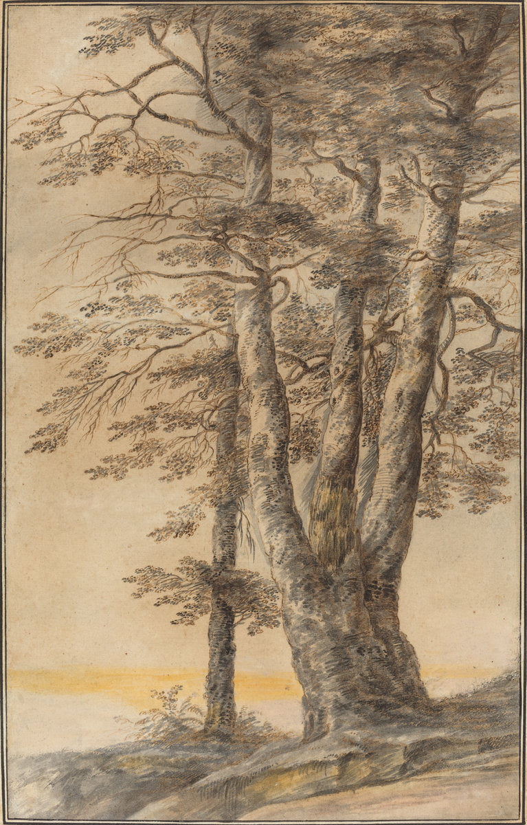 Study of Trees by Lucas van Uden (Flemish, 1595 - 1672), 16X12"(A3)Poster Print