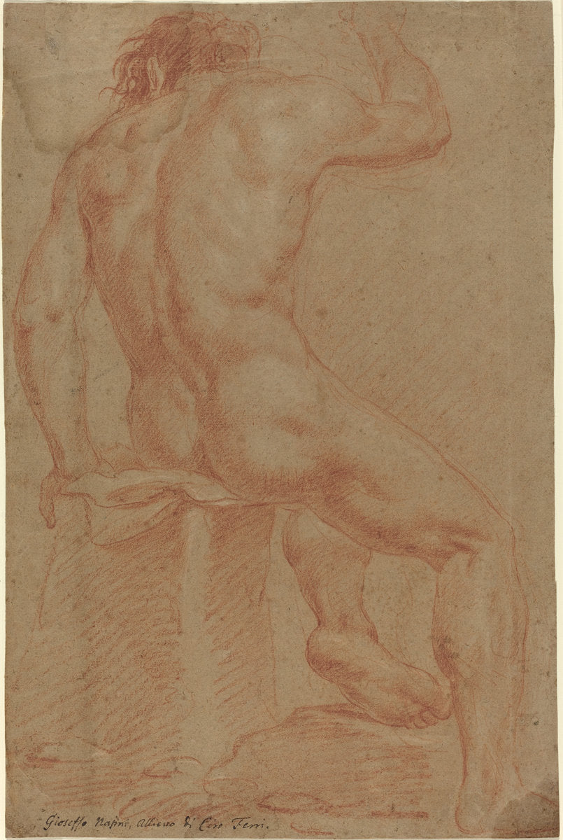 17th century by Italian 17th Century (Nude Male Figure [recto]), 16X12"(A3)Poster Print