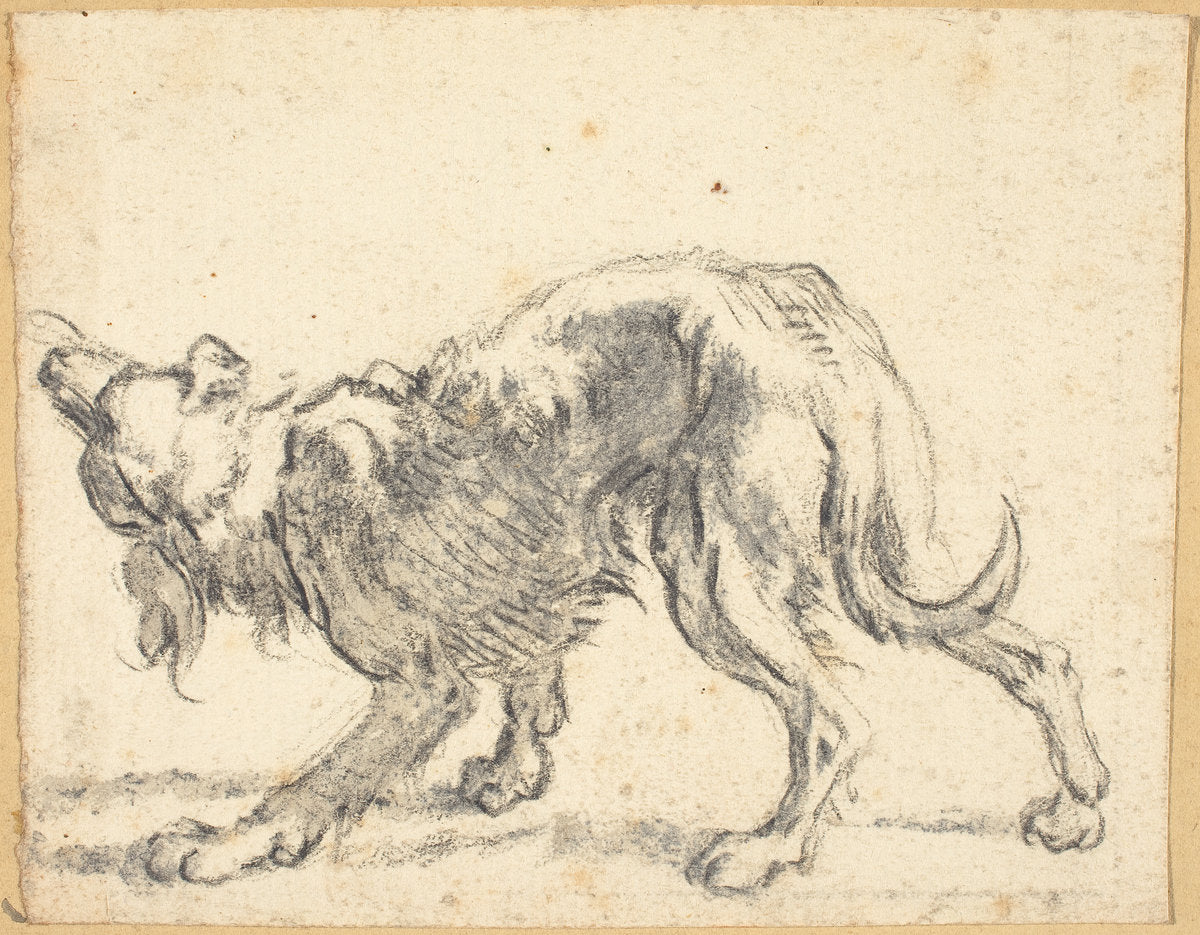 A Dog by Cornelis Saftleven (Dutch, 1607 - 1681), 16X12"(A3)Poster Print