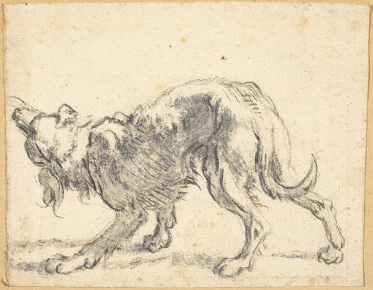 A Dog by Cornelis Saftleven (Dutch, 1607 - 1681), 16X12"(A3)Poster Print